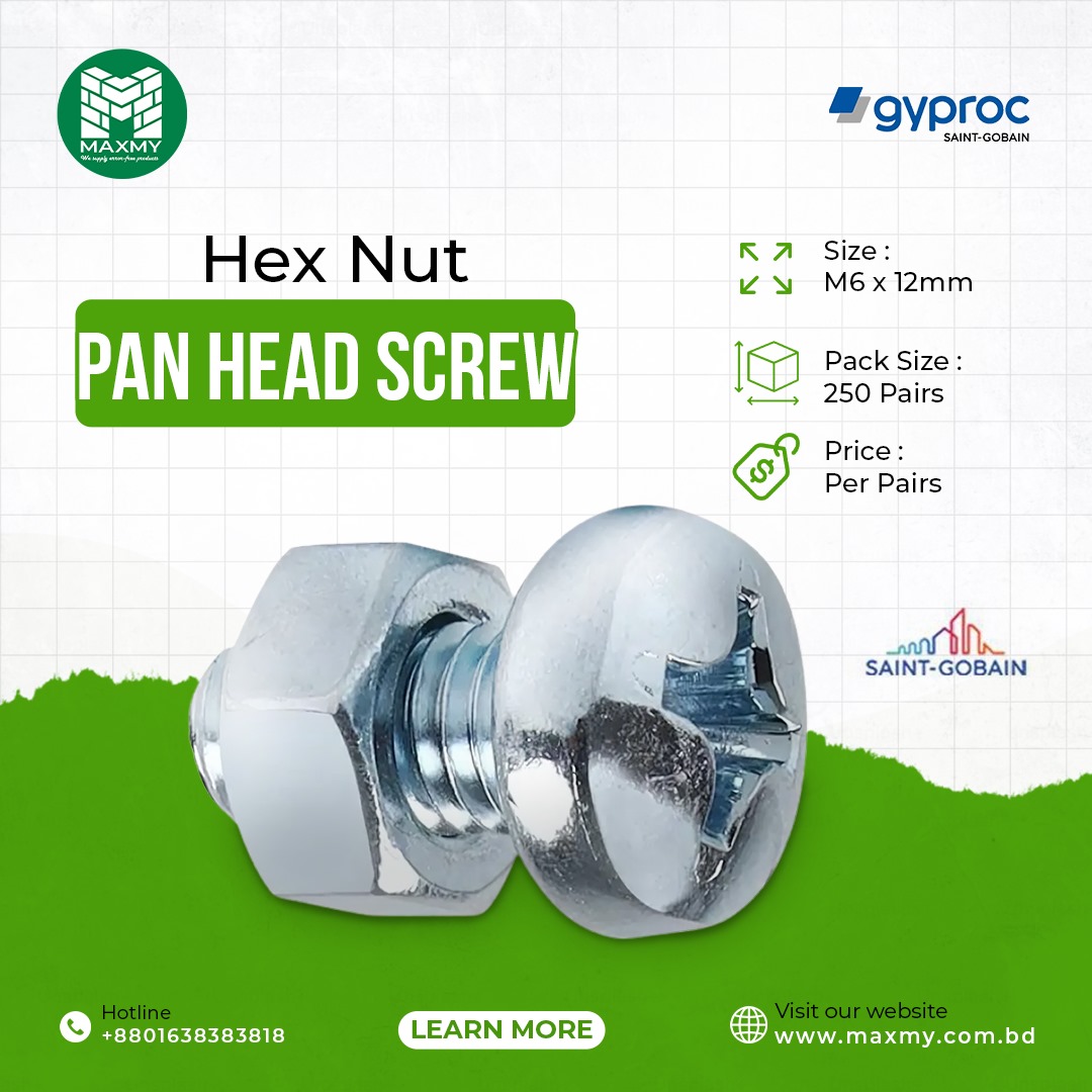 Pen head Hex Nut